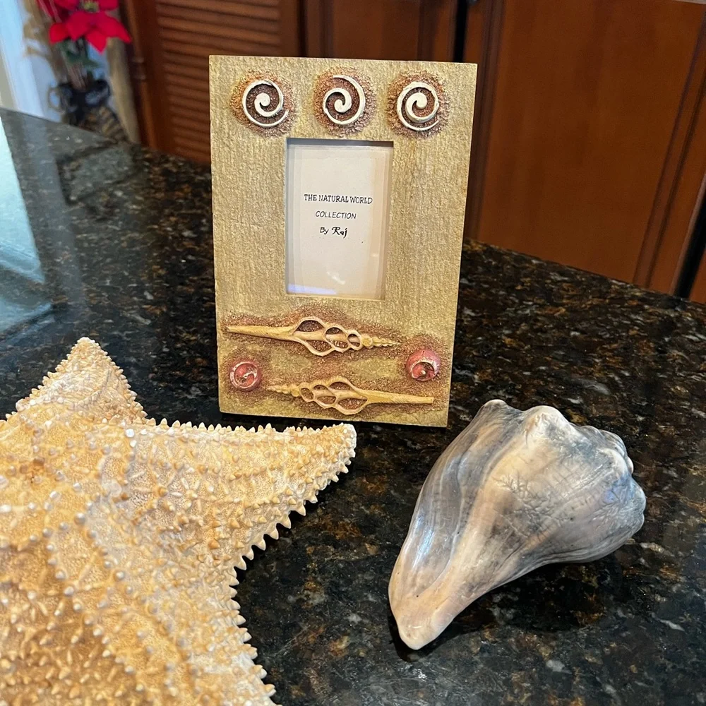 NEW Dimensional Seashell Picture Frames-Set of 2 by Raj